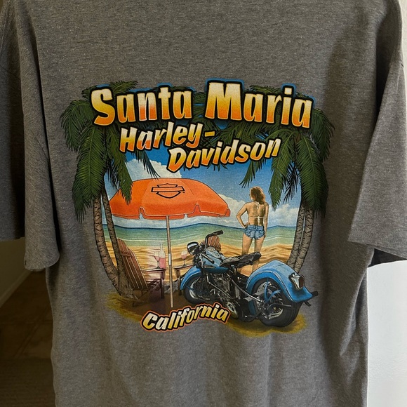 Harley-Davidson Gray and Red Motorcycle Tee - Picture 2 of 3